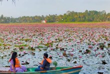 പുത്തൂക്കരിയിൽ സഞ്ചാരികളെ കാത്തിരിക്കുന്നത് ആമ്പല്‍ മാത്രമല്ല കനാല്‍ ടൂറിസത്തിന്റെ പുതിയ ലോകം