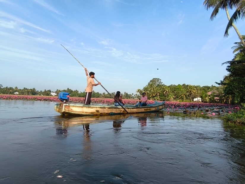  കോട്ടയം അയ്മനം പഞ്ചായത്തിലെ രണ്ടാം വാര്‍ഡില്‍ പുത്തൂക്കരി പാടത്തിലാണ് ആമ്പല്‍ വസന്തം.രാവിലെ എത്തുന്നവര്‍ക്ക് അറുപത് ഏക്കറോളം പാടത്തുകൂടി വള്ളത്തില്‍ സഞ്ചരിച്ച് ആമ്പലിന്റെ സൗന്ദര്യം നുകരാം. കുട്ടവഞ്ചിയാത്ര, ശിക്കാരി വള്ളയാത്ര, ബോട്ട് യാത്ര എന്നിവയ്ക്കുള്ള സൗകര്യവും ഒരുക്കിയിട്ടുണ്ട്. ഇടത്തോടുകളിലൂടെ യാത്ര ചെയ്യാവുന്ന രീതിയിലാണ് ഇത് ക്രമീകരിച്ചിരിക്കുന്നത്. ആമ്പല്‍ കാഴ്ച്ചകള്‍ രാവിലെ പത്തുമണിവരെ ആണെങ്കിലും ബോട്ട് സഞ്ചാരം വൈകുന്നേരം വരെയുണ്ട്.