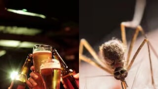 (പ്രതീകാത്മക ചിത്രം)