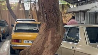 നമ്പള്ളി നഗറിൽ ദുൽഖറിന്റെ ഗാരേജിൽ റെയ്ഡ് നടക്കുന്നു