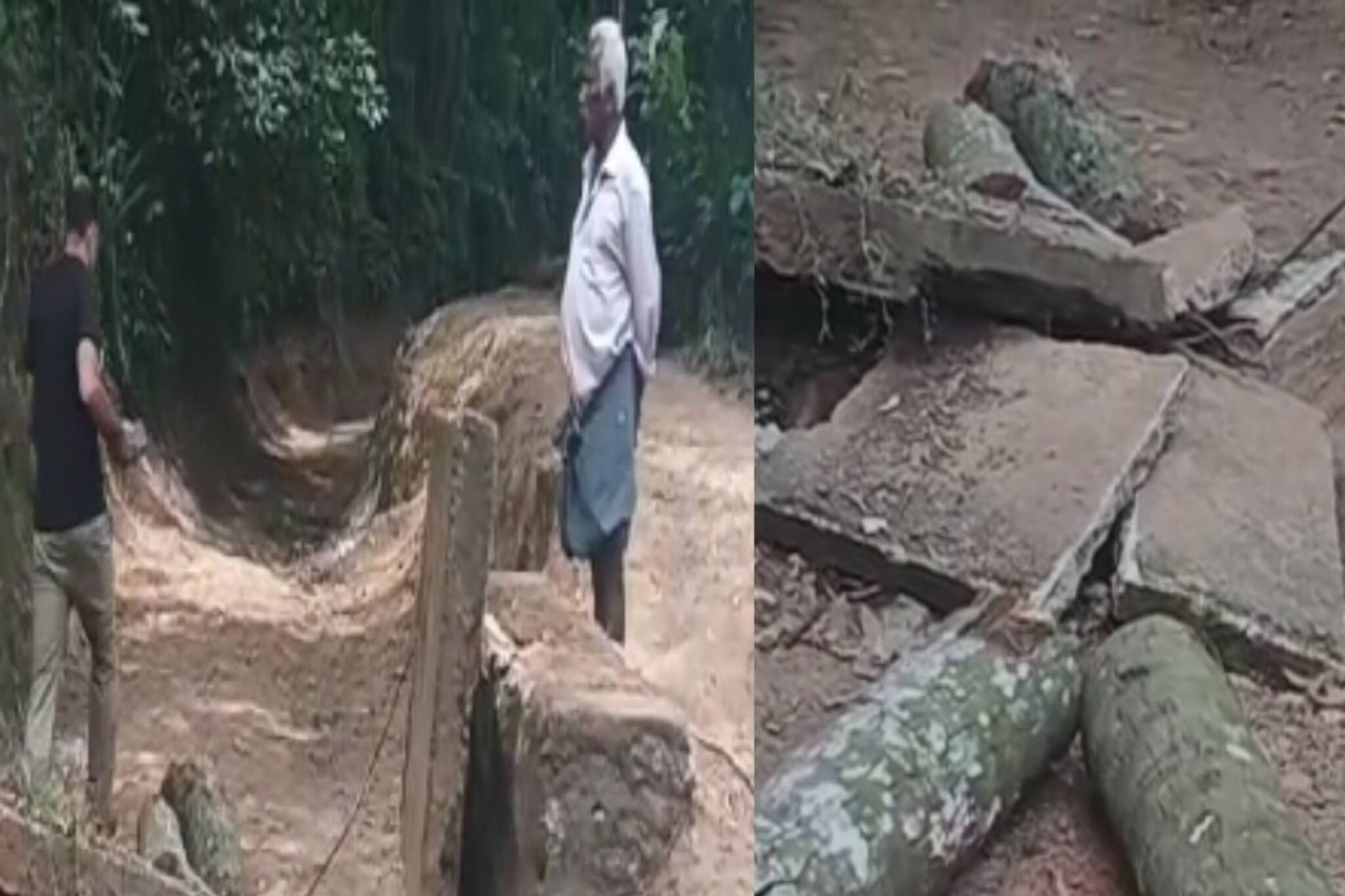 വിശ്രമിക്കുന്നതിനിടെ തെങ്ങ് കടപുഴകി വീണ് 2 തൊഴിലുറപ്പ് തൊഴിലാളികളായ സ്ത്രീകൾ മരിച്ചു