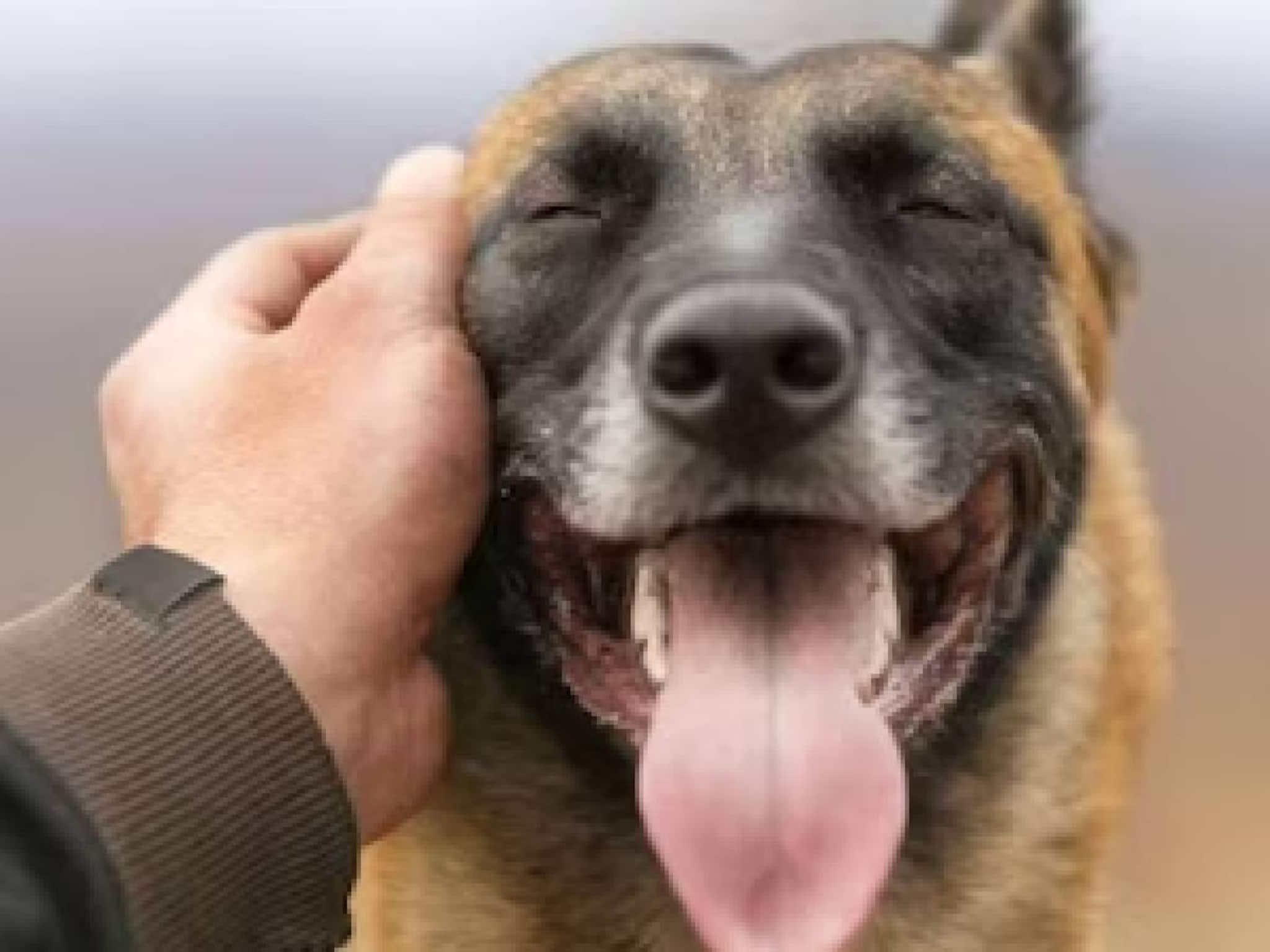 അയല്‍ക്കാരന്റെ പേര് പട്ടിക്കിട്ടു; എതിര്‍ത്തപ്പോള്‍ മര്‍ദിച്ചുവെന്ന് കേസ്