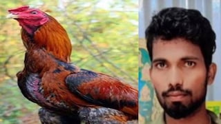 പ്രകാശ് പ്രകാശ്