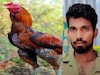 മരുമകന് ചിക്കൻ കറിവേണം; കോഴിക്ക് വച്ച വെടി ഉന്നംതെറ്റി അയൽവാസി മരിച്ചു