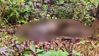 കഴുത്ത് വരെയുള്ള ഭാഗം കത്തിക്കരിഞ്ഞ നിലയിലാണ്