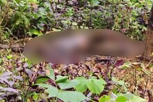 കൊല്ലത്ത് റബർ തോട്ടത്തിൽ‌ ചങ്ങലയ്ക്ക് പൂട്ടിയിട്ട നിലയിൽ കണ്ടെത്തിയത് പുരുഷന്റെ മൃതദേഹം; കൊലപാതകമെന്ന് പൊലീസ്