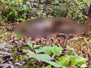 കഴുത്ത് വരെയുള്ള ഭാഗം കത്തിക്കരിഞ്ഞ നിലയിലാണ് കഴുത്ത് വരെയുള്ള ഭാഗം കത്തിക്കരിഞ്ഞ നിലയിലാണ്