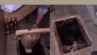 (വീഡിയോ ദൃശ്യം) (വീഡിയോ ദൃശ്യം)