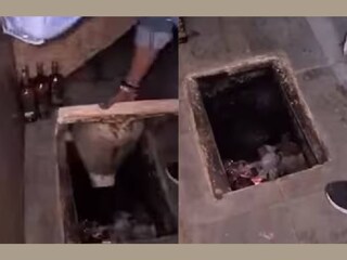 (വീഡിയോ ദൃശ്യം)