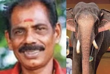 തളയ്ക്കാനെത്തിയ പാപ്പാനെ മദപ്പാടിലുള്ള ആന കുത്തിക്കൊന്നു; മറ്റൊരു പാപ്പാന് ഗുരുതര പരിക്ക്