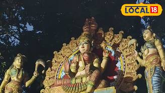 ഐതീഹ്യപ്പെരുമയിൽ ജഡയൻകാവ് ദേവീക്ഷേത്രം; കൊട്ടാരക്കരയിലെ നാഗചൈതന്യം ഉറങ്ങുന്ന കാവ്