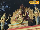 ഐതീഹ്യപ്പെരുമയിൽ ജഡയൻകാവ് ദേവീക്ഷേത്രം; കൊട്ടാരക്കരയിലെ നാഗചൈതന്യം ഉറങ്ങുന്ന കാവ്