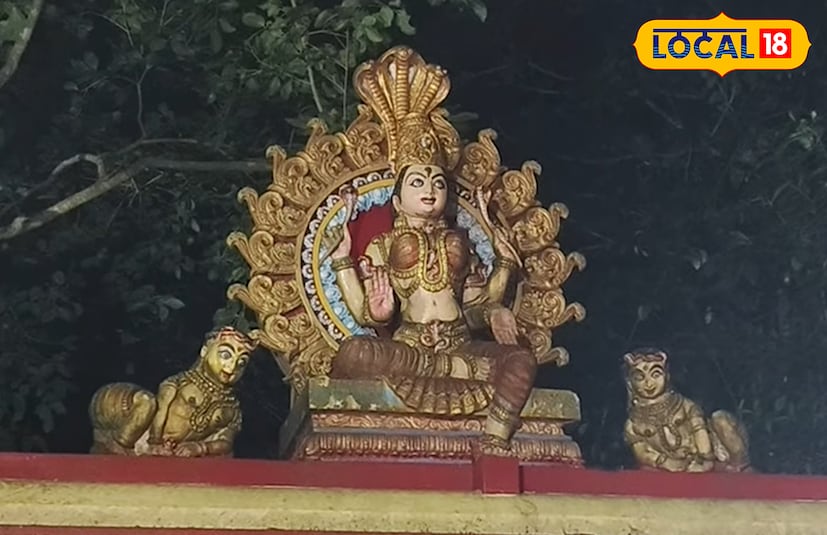  ദേവഹിതമനുസരിച്ച് മേക്കാട്ട് തിരുമേനി നാഗകന്യകയെ ജ്യോതിർവലയം കണ്ടഭാഗത്ത് തന്നെ പ്രതിഷ്ടിച്ചു. ജഡാരൂഢനായ പന്നഗശ്രേഷ്ഠൻ്റെ ശിരസ് പതിച്ച കാവ് എന്നർത്ഥം വരുന്ന ജഡയൻകാവ് പിന്നീട് ആ പേരിൽ തന്നെ അറിയപ്പെട്ടു. പിന്നീട് ഭക്തജനങ്ങളുടെ പ്രാർത്ഥനയാൽ നാഗകന്യക ചൈതന്യം ദേവി ചൈതന്യമായും, ശൈവ - വൈഷ്ണവ സർപ്പ കുടുംബവും ഭക്തജനങ്ങൾക്ക് ഐശ്വര്യ പ്രദായകരായി നിലകൊള്ളുന്നു. മഹാഗണപതിയും നവഗ്രഹ പ്രതിഷ്ഠയും ഉള്ള ഈ ക്ഷേത്രം ദൂരദേശത്തുനിന്ന് പോലും ഭക്തജനങ്ങളെ അനുഗ്രഹ പ്രീതിക്കായി ക്ഷേത്രാങ്കണത്തിലേക്ക് എത്തിക്കുന്നു.