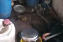 കണ്ണൂരിൽ പാചക വാതകം ചോർന്ന് തീപിടിത്തം; 4 ഇതര സംസ്ഥാന തൊഴിലാളികൾക്ക് പൊള്ളലേറ്റു, 2 പേരുടെ നില ഗുരുതരം