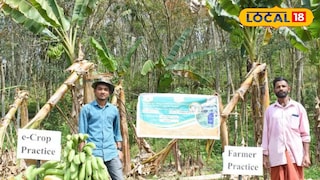 കർഷകർ വിളവുമായി 