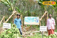കൃഷിയിൽ വിപ്ലവം സൃഷ്ടിച്ച് എ.ഐ.; വിളവിൽ റെക്കോർഡ് നേട്ടം