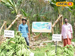 കർഷകർ വിളവുമായി 