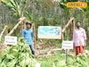 കൃഷിയിൽ വിപ്ലവം സൃഷ്ടിച്ച് എ.ഐ.; വിളവിൽ റെക്കോർഡ് നേട്ടം