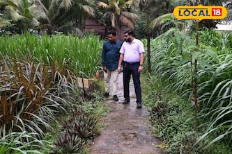 തീറ്റപ്പുല്ലുകൾക്കായി മാത്രം ഒരു മ്യൂസിയം; കൗതുകമുണർത്തി തിരുവനന്തപുരത്തെ വിസ്മയ കാഴ്ച