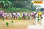 ഗുണമേന്മയുള്ള നെൽവിത്തിന് 'റൈസ് സീഡ് ഗ്രോവേഴ്സ് പ്രോഗ്രാം'