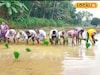 ഗുണമേന്മയുള്ള നെൽവിത്തിന് 'റൈസ് സീഡ് ഗ്രോവേഴ്സ് പ്രോഗ്രാം'