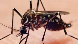 (പ്രതീകാത്മക ചിത്രം)