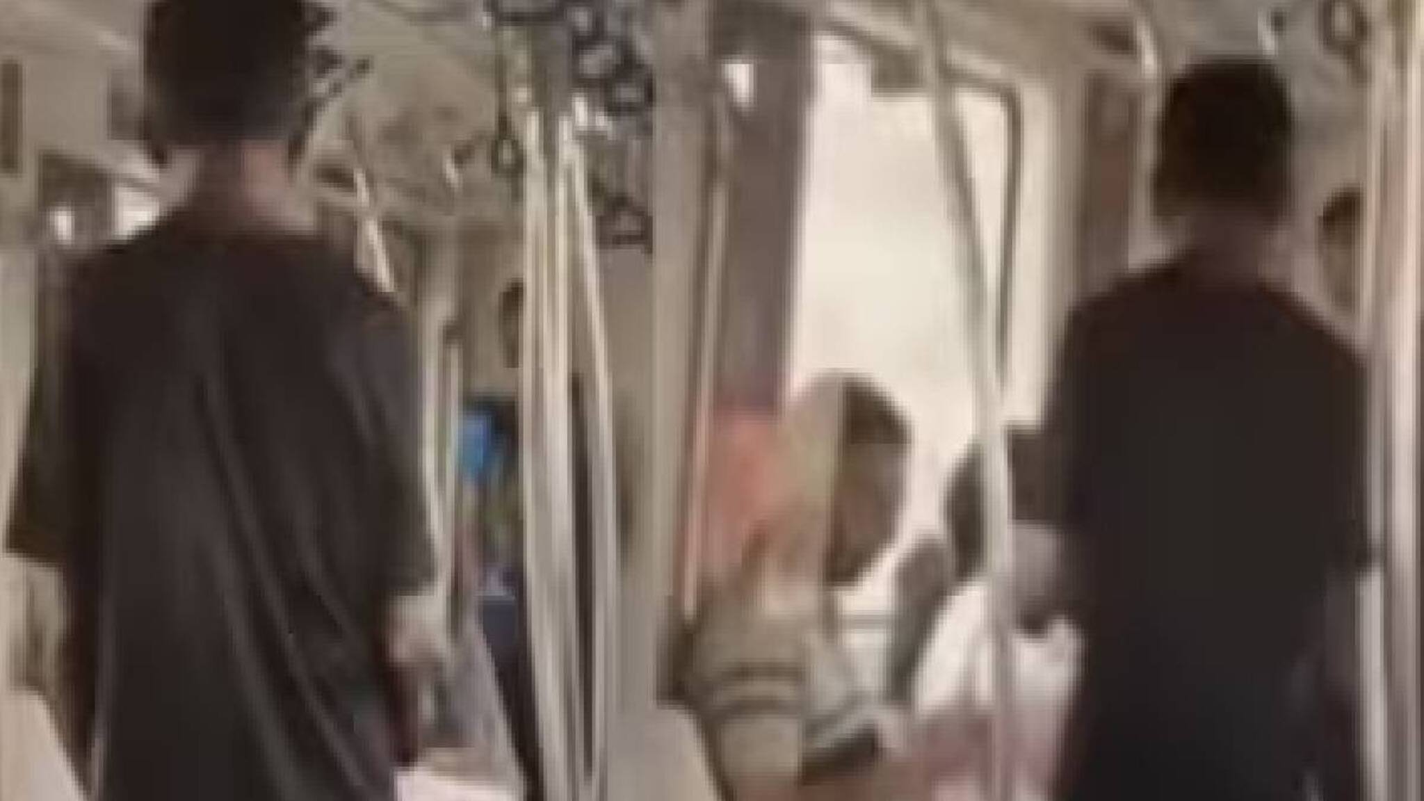 ടിക്കറ്റെടുത്ത് ബെംഗളൂരു മെട്രോയില്‍ കയറി ഭിക്ഷയെടുക്കുന്നു! വീഡിയോ വൈറല്‍