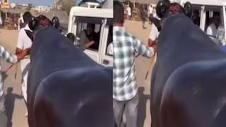 പോത്തിന്റെ  വില 23 കോടി