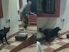 തെരുവുനായ ശല്യത്തിനെതിരെ നാടകം കളിക്കുന്നതിനിടെ നടന് ഒറിജിനൽ തെരുവ് നായയുടെ 'കടി '
