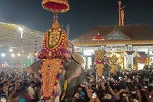 തിരുവിതാംകൂർ ദേവസ്വം ബോർഡിലെ അമ്പലം വിഴുങ്ങികൾ ആന എഴുന്നള്ളിപ്പിലും തട്ടിപ്പ് നടത്തിയെന്ന് ആരോപണം