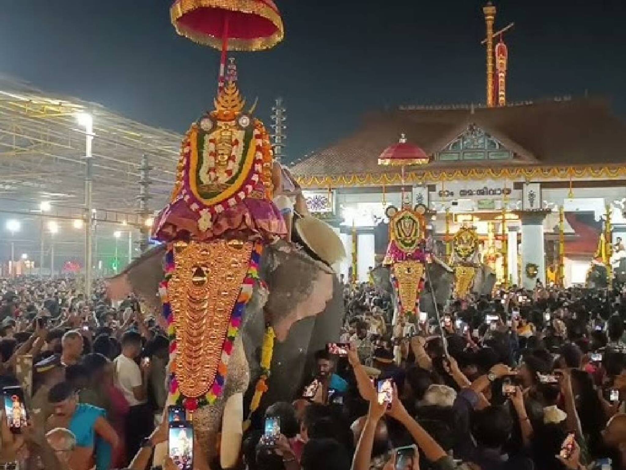 തിരുവിതാംകൂർ ദേവസ്വം ബോർഡിലെ അമ്പലം വിഴുങ്ങികൾ ആന എഴുന്നള്ളിപ്പിലും തട്ടിപ്പ് നടത്തിയെന്ന് ആരോപണം