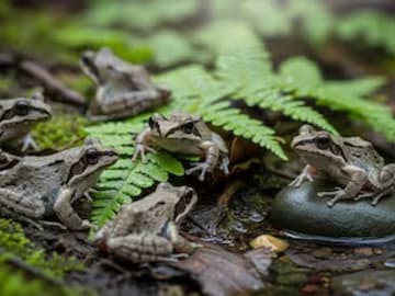 പ്രതീകാത്മക ചിത്രം പ്രതീകാത്മക ചിത്രം