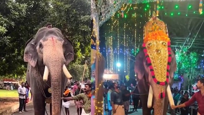 ഗുരുവായൂർ ഗോകുൽ (Image: Facebook) ഗുരുവായൂർ ഗോകുൽ (Image: Facebook)