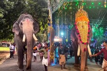 ഗുരുവായൂർ ഗോകുൽ ചരിഞ്ഞു; പാപ്പാന്മാരുടെ ക്രൂരമർദനത്തെ തുടർന്നെന്ന് ആരോപണം