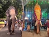 ഗുരുവായൂർ ഗോകുൽ ചരിഞ്ഞു; പാപ്പാന്മാരുടെ ക്രൂരമർദനത്തെ തുടർന്നെന്ന് ആരോപണം