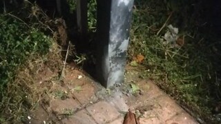 ശ്യാമളയുടെ വീടിന് മുന്നിലാണ് സ്‌ഫോടനം ഉണ്ടായത്