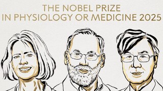 മേരി ഇ ബ്രങ്കോവ്, ഫ്രെഡ് റാംസ്ഡെൽ, ഷിമോൺ സകാഗുച്ചി