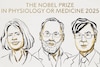 Nobel| രോഗപ്രതിരോധശേഷിയുമായി ബന്ധപ്പെട്ട ഗവേഷണത്തിന് 3 പേർക്ക് വൈദ്യശാസ്ത്ര നൊബേൽ