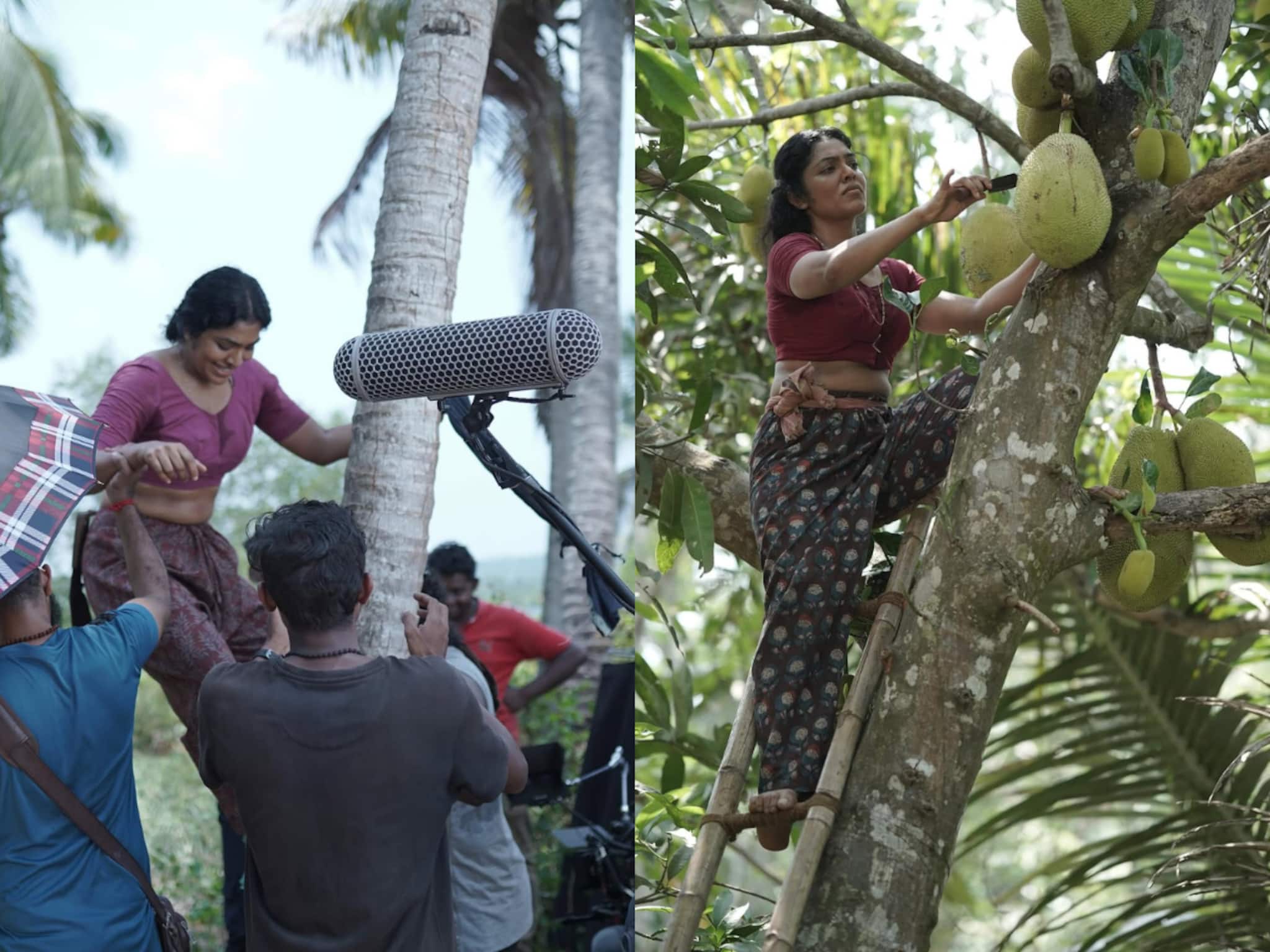വെറും മരംകേറി പെണ്ണല്ല, സൂക്ഷിച്ചു നോക്കുണ്ണീ, നല്ലൊന്നാന്തരം തെങ്ങാ; റിമ കല്ലിങ്കലിന്റെ ദൃശ്യങ്ങൾ വൈറൽ