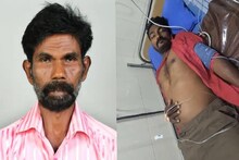 കൊച്ചിയിൽ കടന്നൽ കുത്തേറ്റ വയോധികൻ മരിച്ചു; രക്ഷിക്കാൻ ശ്രമിച്ച മകൻ ആശുപത്രിയിൽ