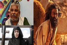 ആടുജീവിതത്തിന് അവാർഡ് നഷ്ടമായത് വിഎഫ്എക്സ് കാരണമെന്ന് സുദീപ്‌ദോ സെൻ; മറുപടിയുമായി ഇൻഫ്ളുവൻസർ