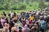 കോഴിക്കോട് അറവ് മാലിന്യ സംസ്കരണ കേന്ദ്രത്തിനെതിരായ പ്രതിഷേധത്തിൽ സംഘർഷം; തീയിട്ടു; കല്ലേറിൽ SPക്ക് പരിക്ക്