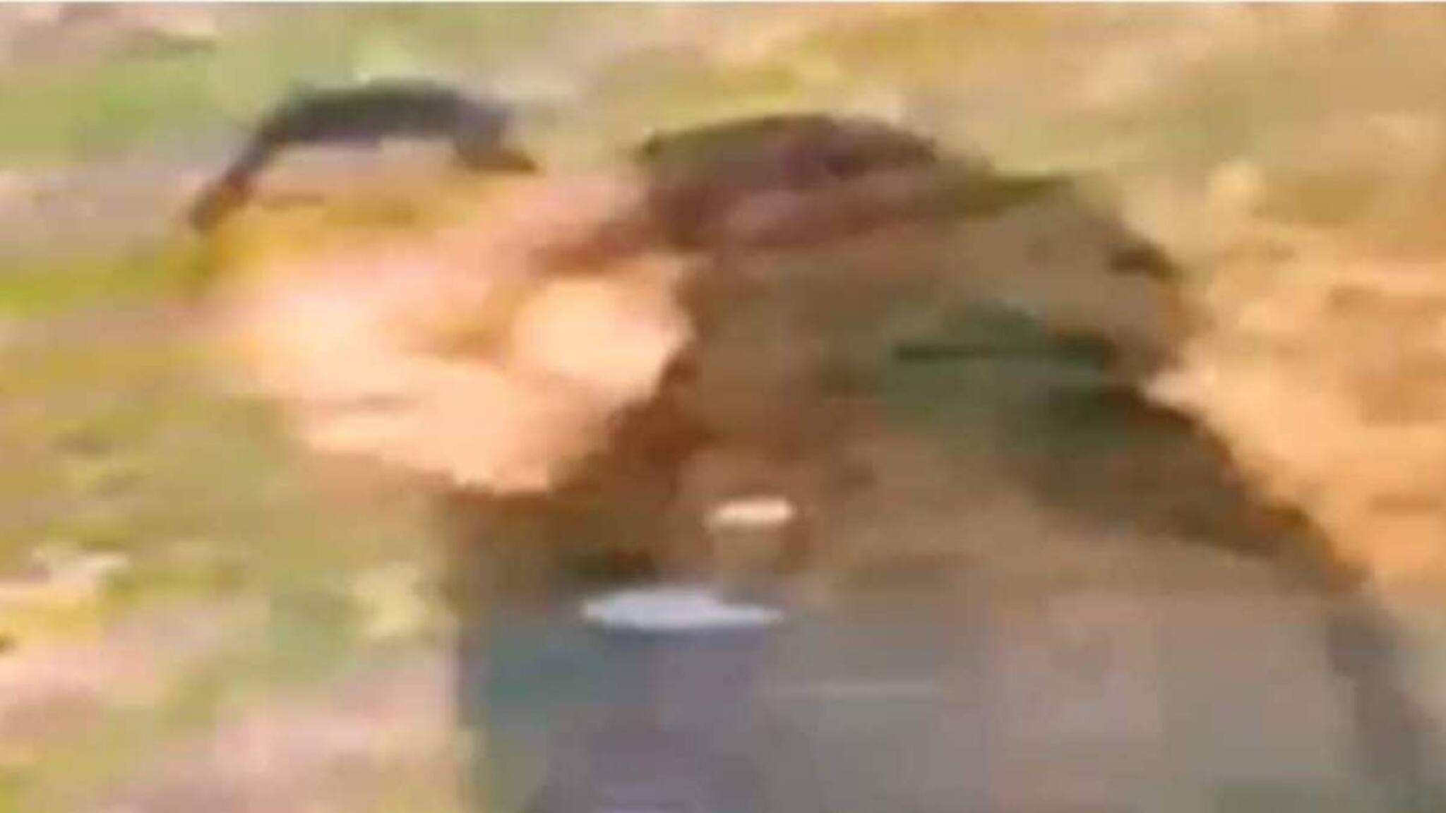 യുകെയിൽ ഇന്ത്യൻ വംശജയായ യുവതി ബലാത്സംഗത്തിനിരയായി; വംശീയ ആക്രമണമെന്ന് സംശയം; പ്രതിയുടെ സിസിടിവി ദൃശ്യം പുറത്ത്