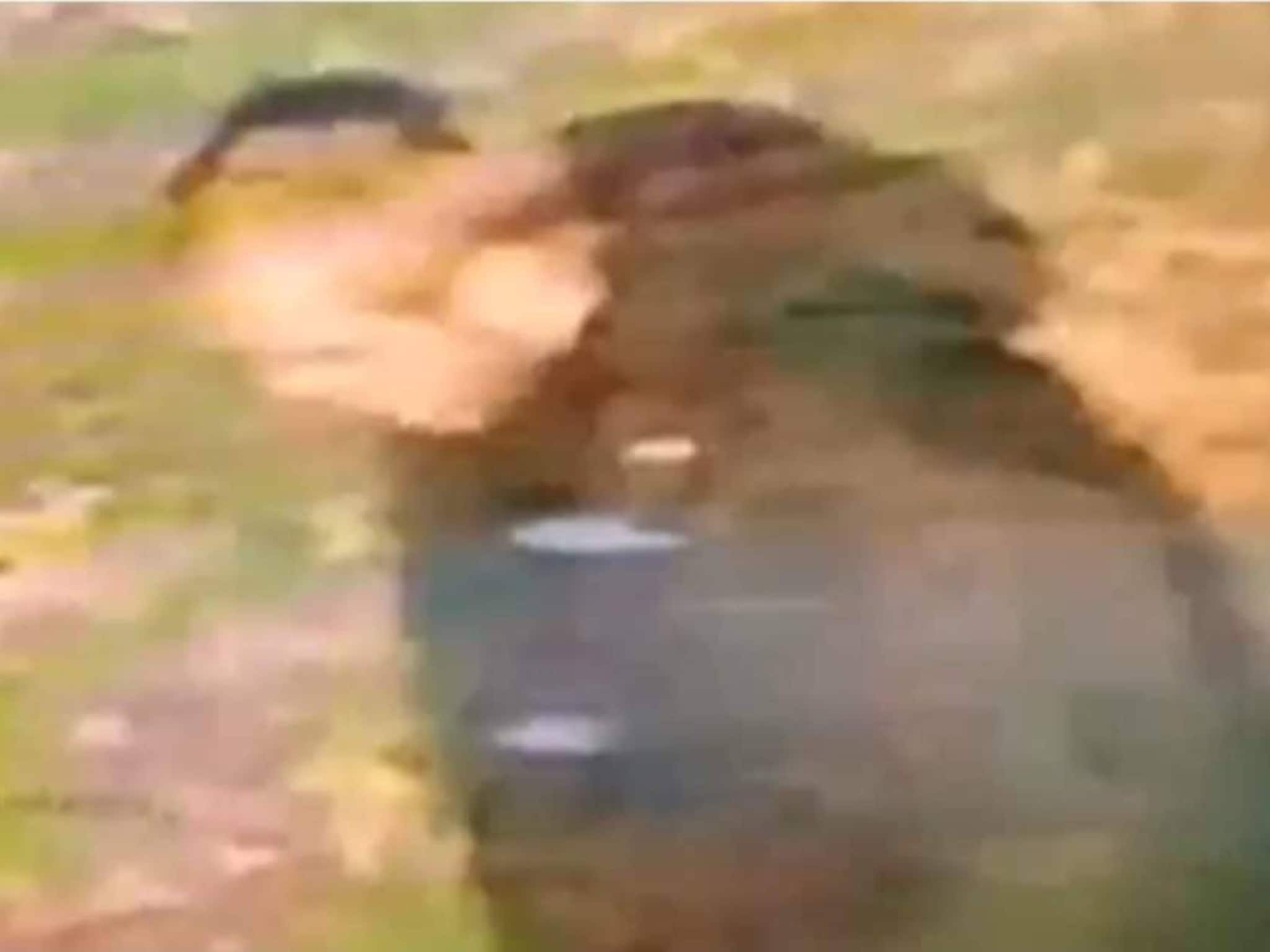 യുകെയിൽ ഇന്ത്യൻ വംശജയായ യുവതി ബലാത്സംഗത്തിനിരയായി; വംശീയ ആക്രമണമെന്ന് സംശയം; പ്രതിയുടെ സിസിടിവി ദൃശ്യം പുറത്ത്