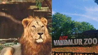 വണ്ടല്ലൂർ മൃഗശാല