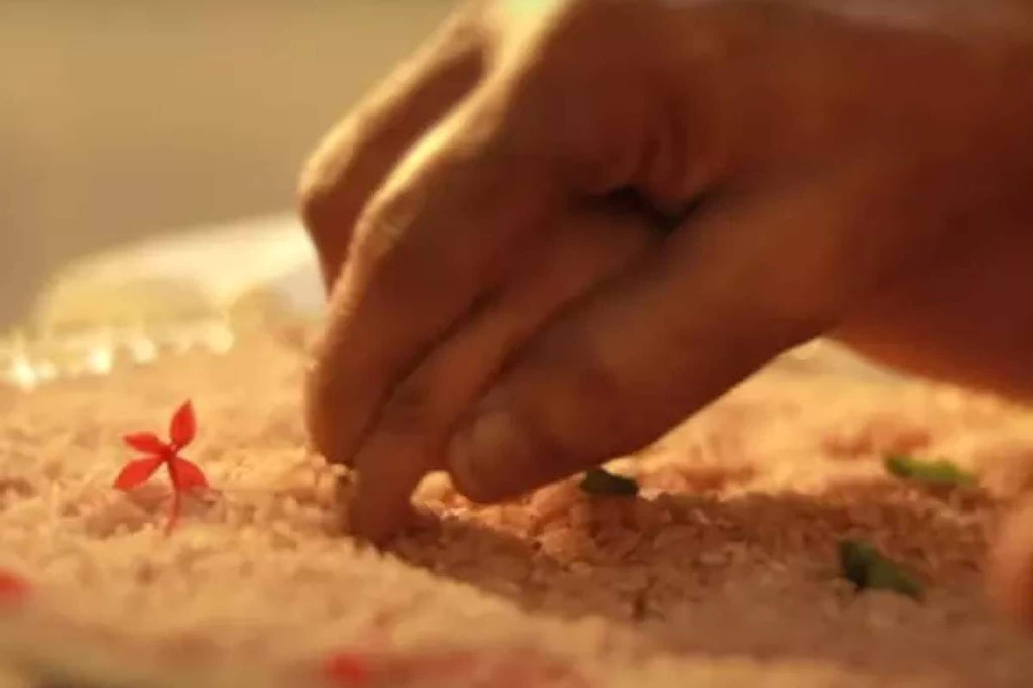 Vijayadashami 2025 |ഇന്ന് വിജയദശമി; കുരുന്നുകൾക്ക് വിദ്യാരംഭം, ക്ഷേത്രങ്ങളിൽ വൻ ഭക്തജനത്തിരക്ക്