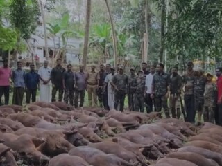 ഓങ്ങല്ലൂരിൽ നിന്നുള്ള ദൃശ്യം