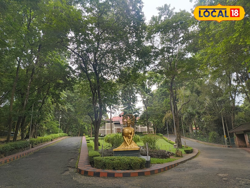  മലപ്പുറം ജില്ലയിലെ നിലമ്പൂരിൽ സ്ഥിതി ചെയ്യുന്ന നിലമ്പൂര്&#x200d; തേക്ക് മ്യൂസിയം തേക്ക് മരത്തിൻ്റെ ചരിത്രവും സവിശേഷതകളും ആഴത്തിൽ പകര്&#x200d;ത്തുന്ന ഇന്ത്യയിലെ ഏക തേക്ക് മ്യൂസിയമാണ്. നിലമ്പൂര്&#x200d;-ഗൂഡല്ലൂര്&#x200d; പാതയിൽ സ്ഥിതി ചെയ്യുന്ന ഈ മ്യൂസിയം കേരള ഫോറസ്റ്റ് റിസർച്ച് ഇൻസ്റ്റിറ്റ്യൂട്ടിൻ്റെ (KFRI) കീഴിലാണ് പ്രവർത്തിക്കുന്നത്.