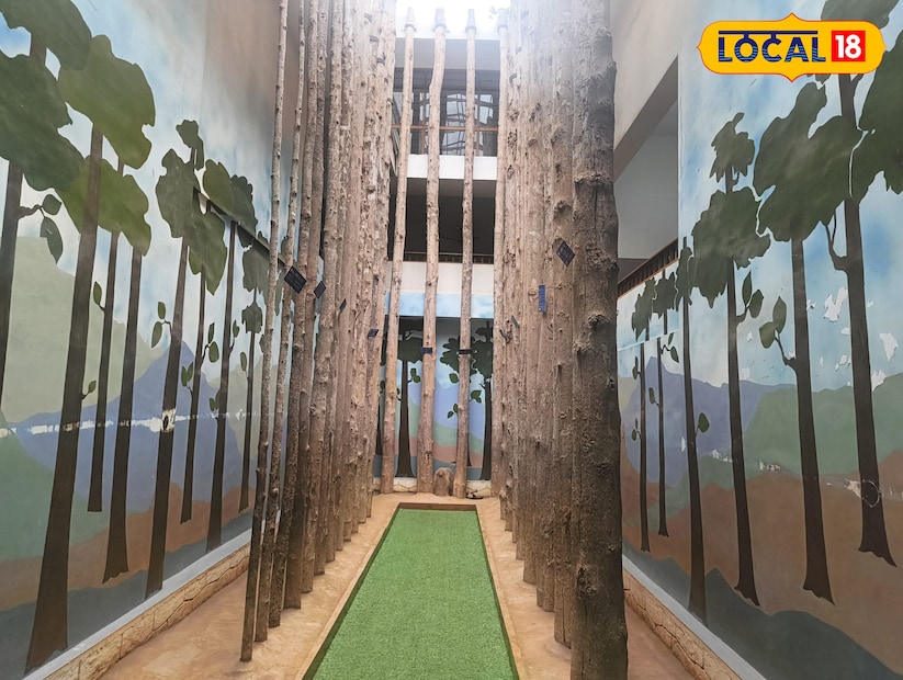  നിലമ്പൂർ റെയിൽവേ സ്റ്റേഷനിൽ നിന്ന് 3 കിലോമീറ്റർ അകലെയും കോഴിക്കോട് ഇൻ്റർനാഷണൽ എയർപ്പോർട്ടിൽ നിന്ന് 36 കിലോമീറ്റർ അകലെയുമാണ് മ്യൂസിയം സ്ഥിതി ചെയുന്നത്. നിലമ്പൂർ പട്ടണത്തിൽ നിന്ന് ഏകദേശം നാല് കിലോമീറ്റർ അകലെയാണ് ഇതിൻ്റെ സ്ഥാനം.