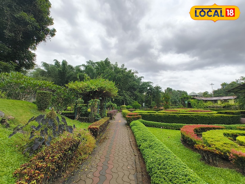  1995-ൽ സ്ഥാപിച്ച ഈ മ്യൂസിയം വളപ്പിൽ തന്നെ ഔഷധ സസ്യങ്ങളും പലതരം മരങ്ങളും നിറഞ്ഞ ഒരു ഹരിത ഉദ്യാനവും, തേക്കിൻ്റെ കുഞ്ഞുതൈകളും കാണാനാകും.